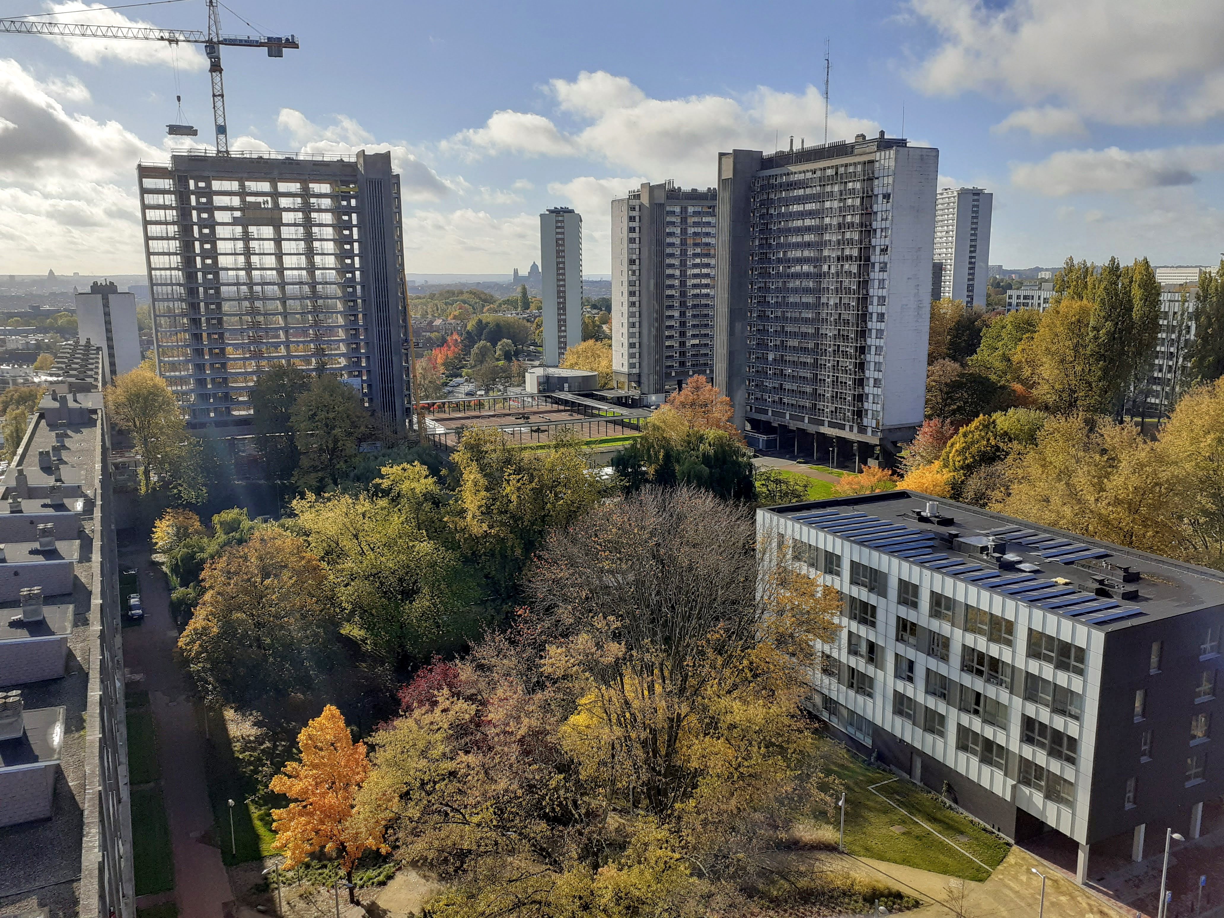 Vue sur les rénovations de la Cité Modèle