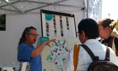 Photo d'illustration de la fête de l'Iris