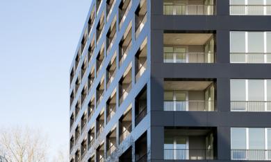Projet City Dox