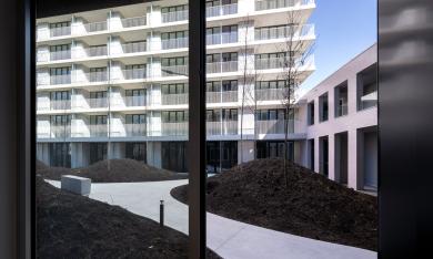 Projet City Dox