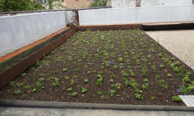 Photo de l'inauguration du projet Crickx