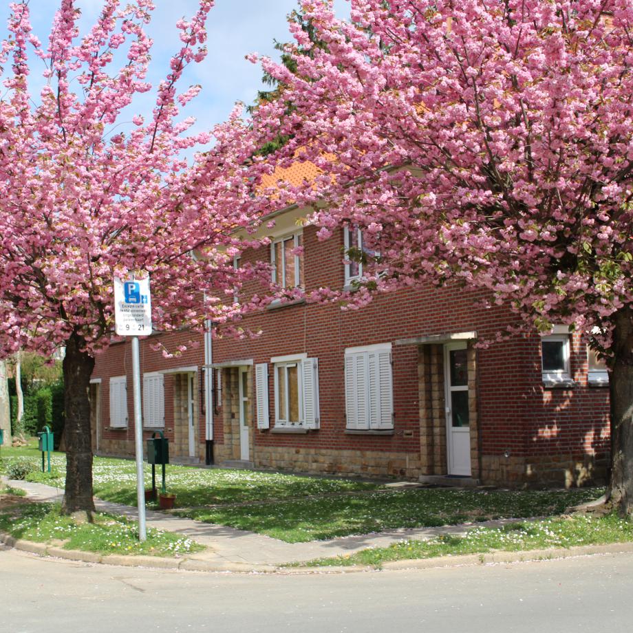 Photo d'illustration des maisons villon