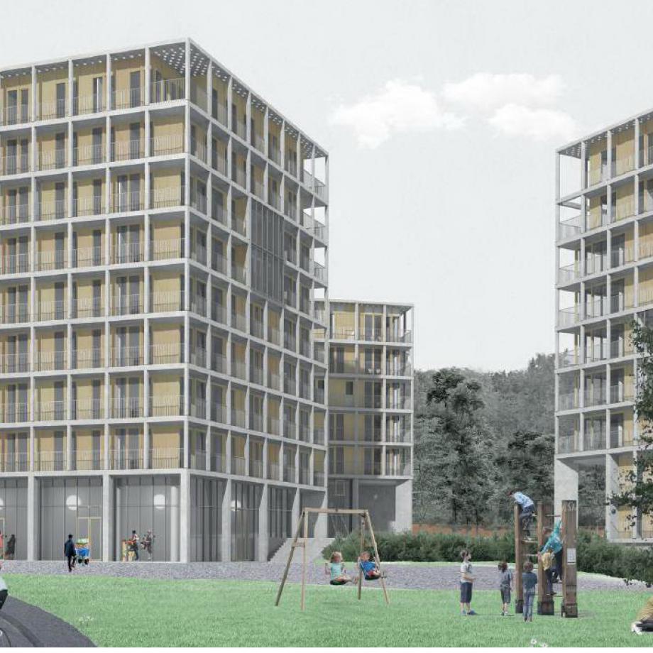 Projet Renoir en visuel