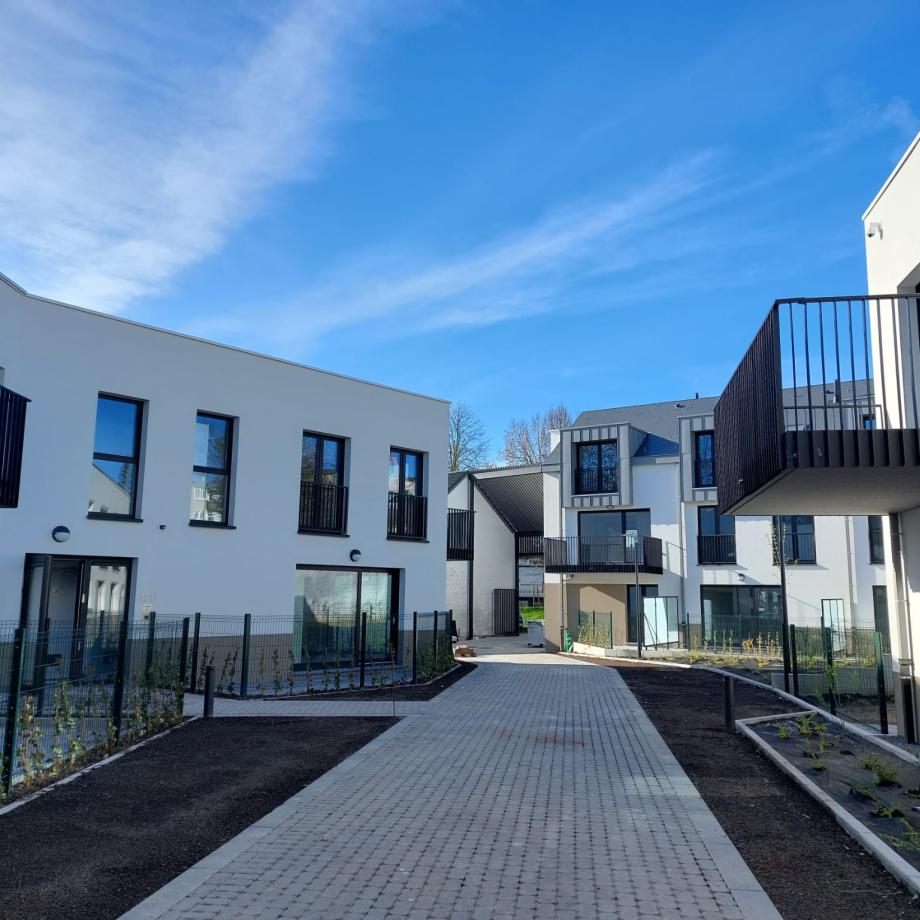 Le projet Rommelaere - Het project Rommelaere